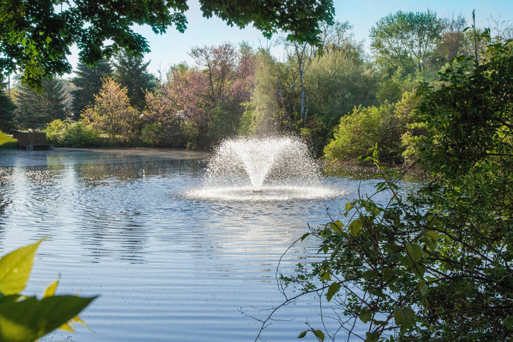 Scott DA-20 1/2HP Display Aerator, 115v Vivarealm 