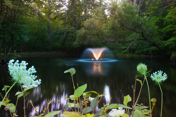 Scott DA-20 1/2HP Display Aerator, 115v Vivarealm 