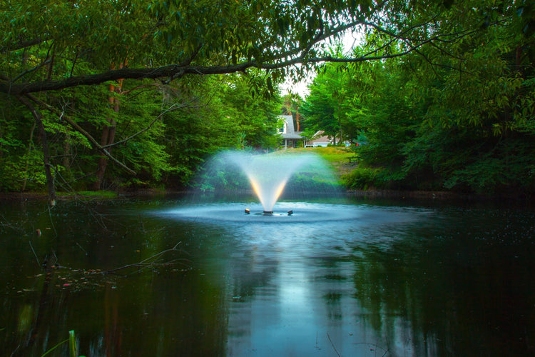 Scott DA-20 1/2HP Display Aerator, 115v Vivarealm 