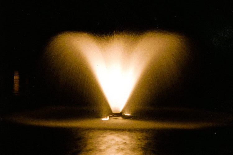 Scott DA-20 1HP Display Aerator, 115v Vivarealm 