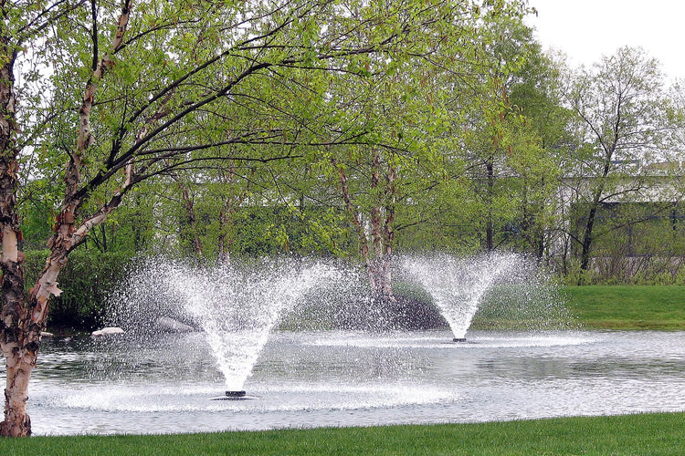 Scott DA-20 Display Aerator, 1/2 HP, 115v Vivarealm 