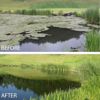 Kasco Macrozyme Beneficial Bacteria Kasco 