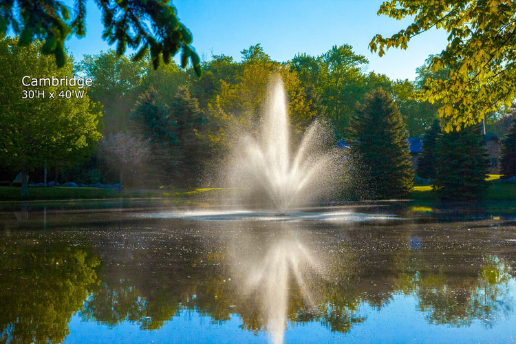 Scott Triad Fountain-1HP Scott 