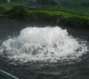 Kasco 3400HA pond aerator Aerator Kasco 