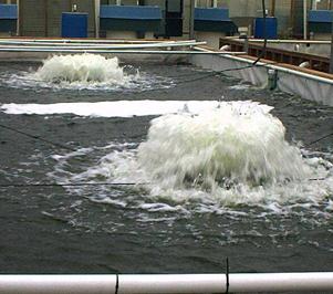 Kasco 3400HA pond aerator Aerator Kasco 