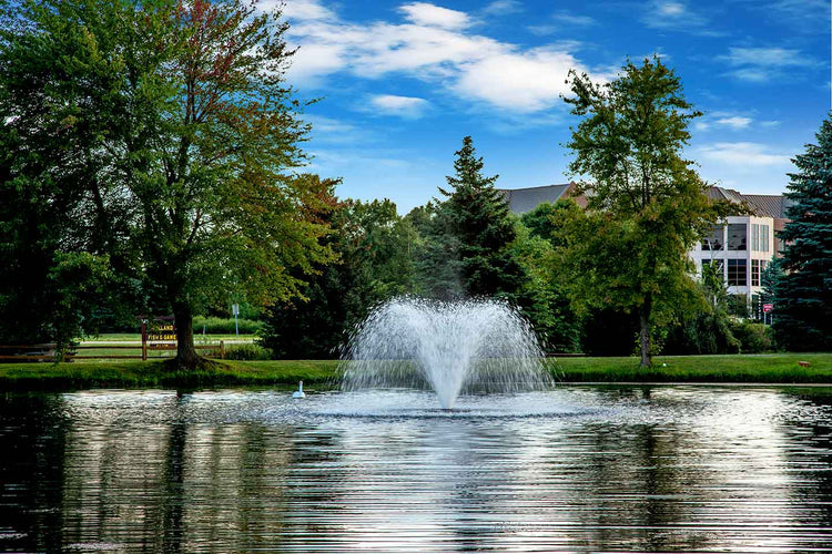 Scott DA-20 Display Aerator, 1 HP, 115 V Vivarealm 